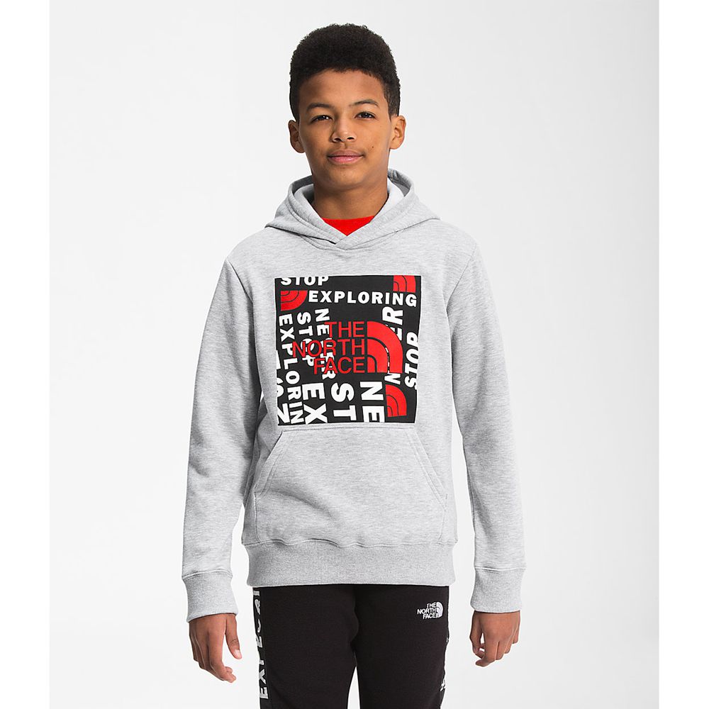 The North Face Hoodie Boys Australia - The North Face Camp Fleece Pullover Light Grey / Red (BMZ-947